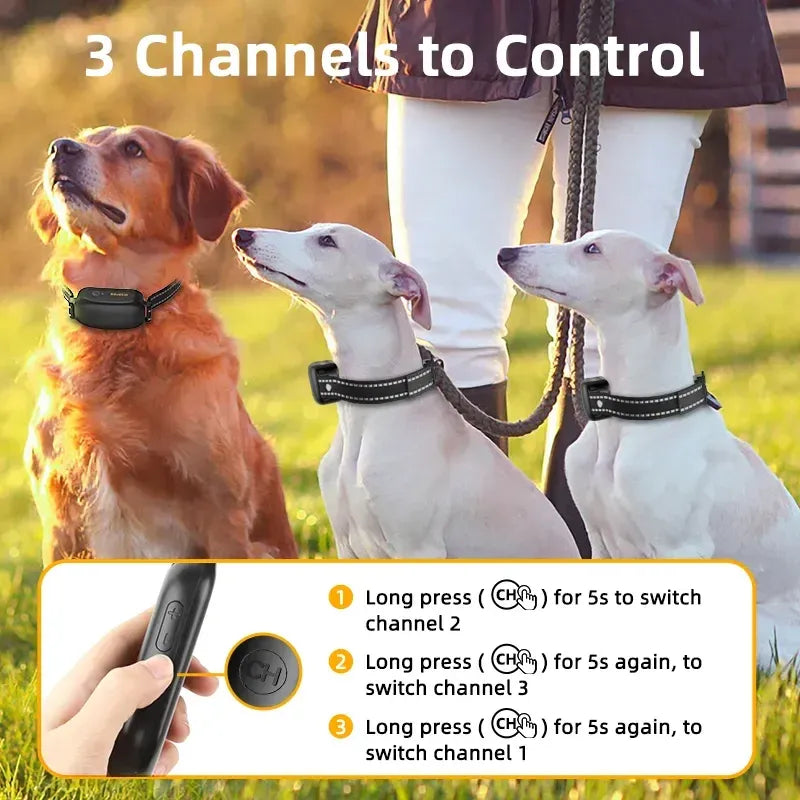 ProTrain Rechargeable Waterproof Dog Training Collar with Remote