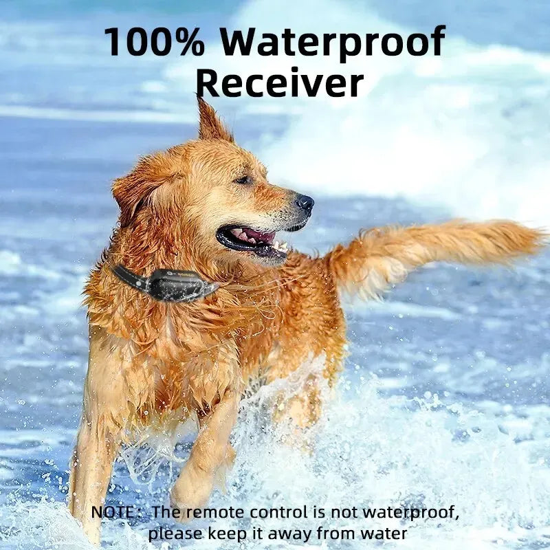 ProTrain Rechargeable Waterproof Dog Training Collar with Remote