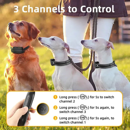 ProTrain Rechargeable Waterproof Dog Training Collar with Remote